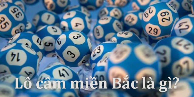 Lô câm miền Bắc là gì? Lô câm miền Bắc là gì?