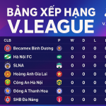 Bảng xếp hạng bóng đá Việt Nam mới nhất – Cập nhật chi tiết V-League hôm nay Vleague